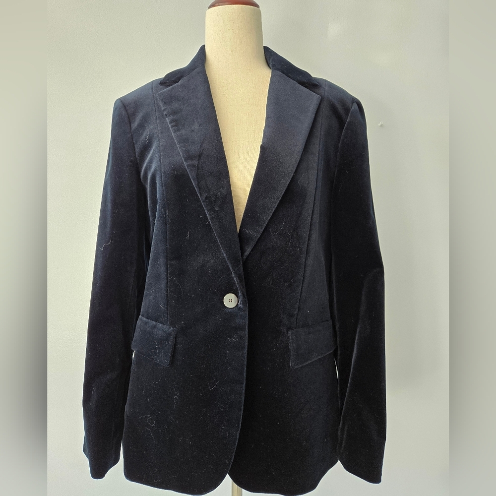 NWT Baltic Blue Riding Stretch Velvet Blazer, s10